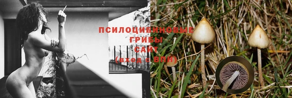 соль ск Балахна